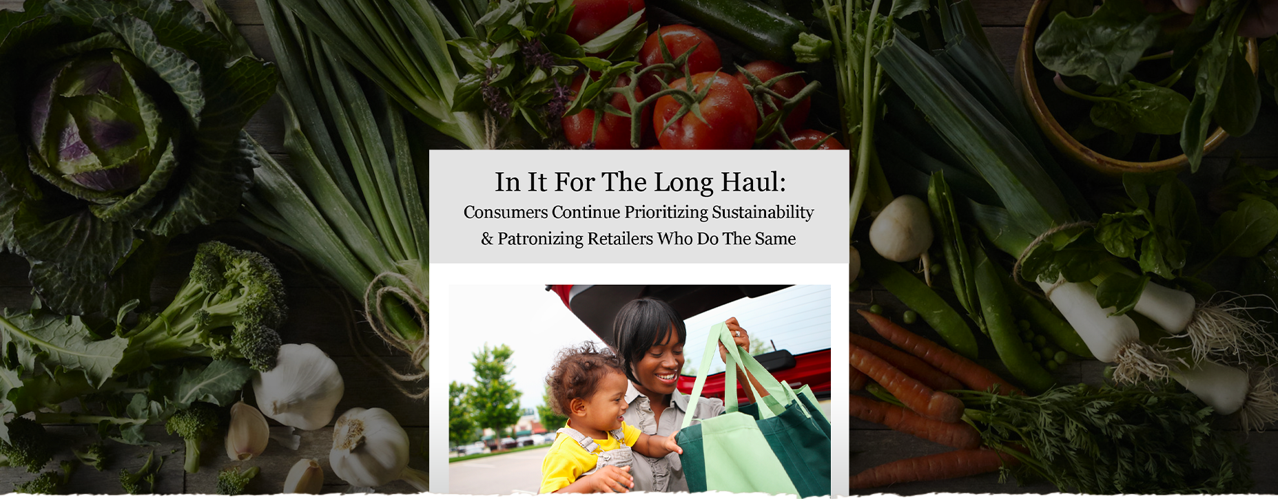 AMY003_2_Infographic-and-Trade-Portal-Slider-SUSTAINABILITY-ARTICLE