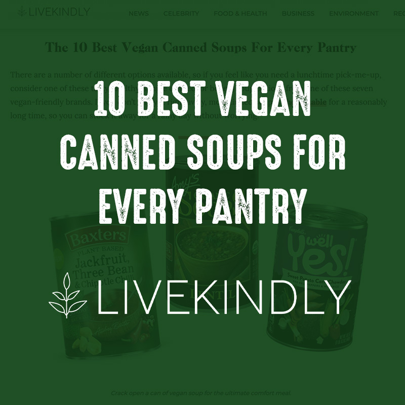 10 Best Vegan Canned Soups for Every pantry - LiveKindly